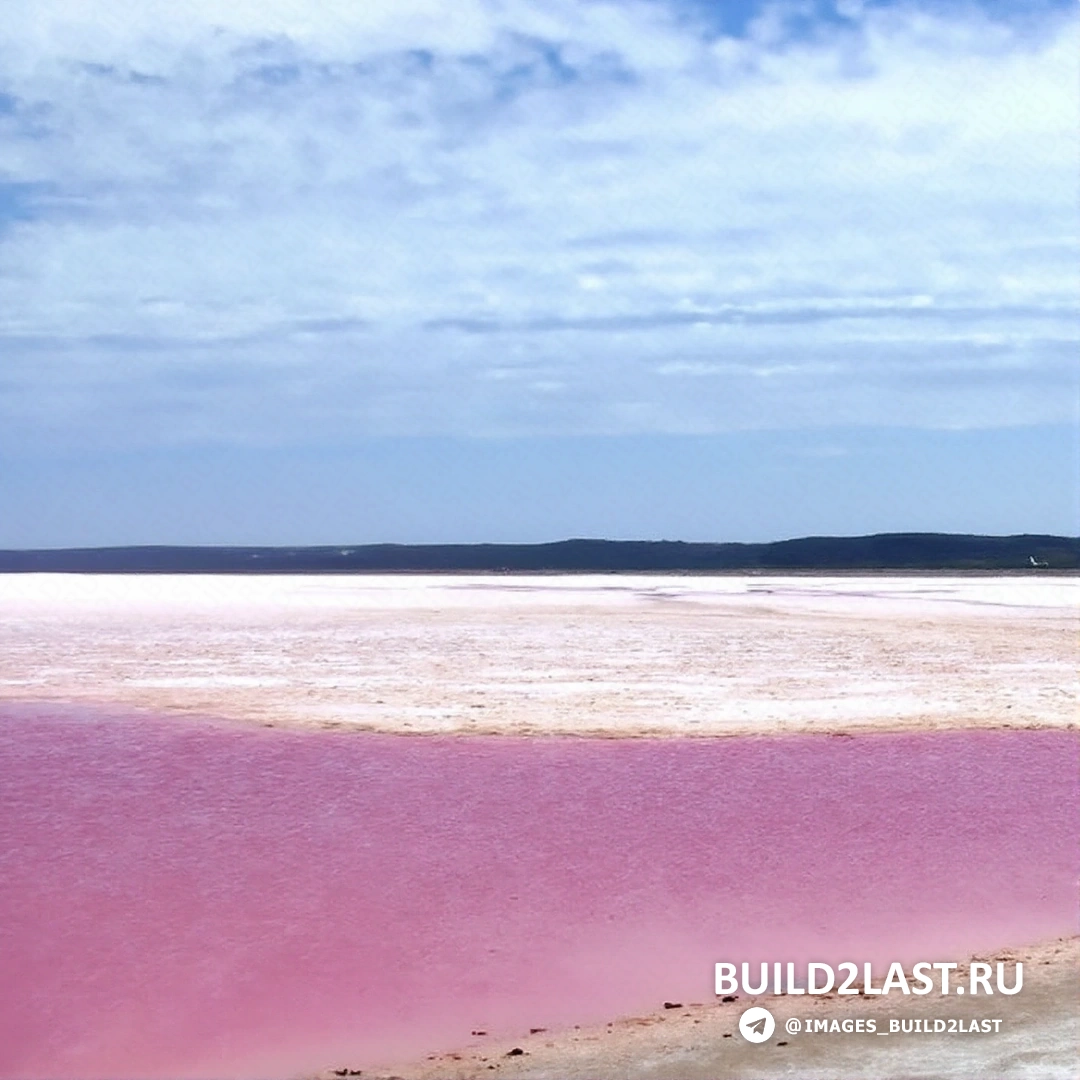 ������� ������� - ������� ����� ������ � ���������, � ������������ ������� �������� ����